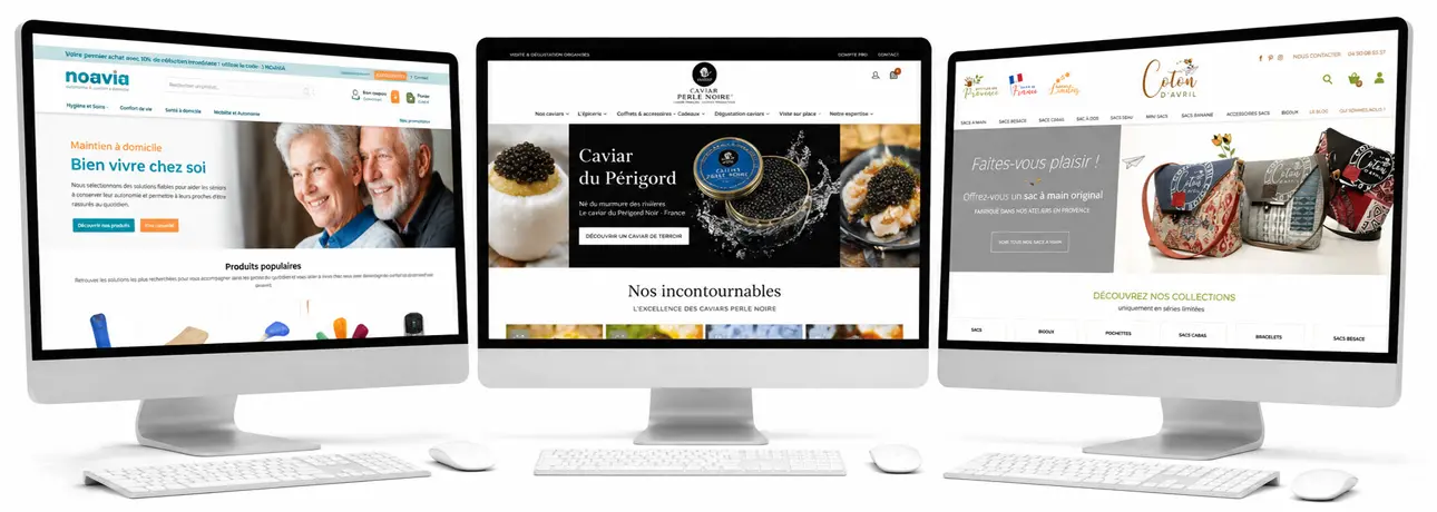 Agence web experte en site e-commerce Woocommerce
